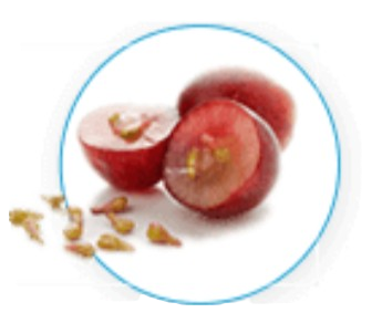 Grape Seed Extract