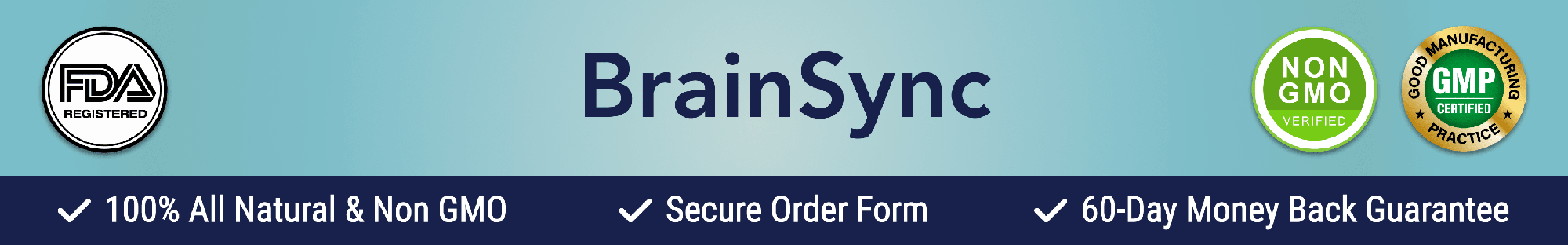 Brainsync Banner