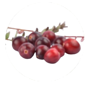 Cranberry Juice Powder