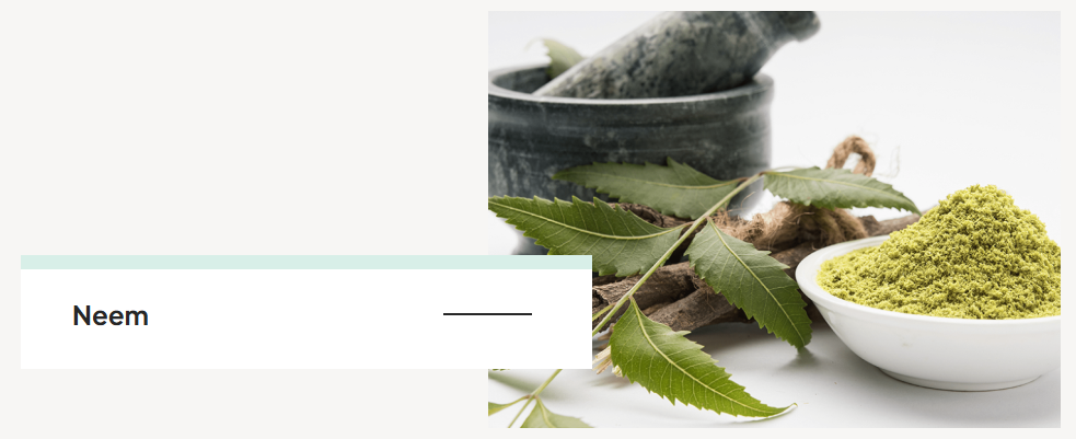 Neem