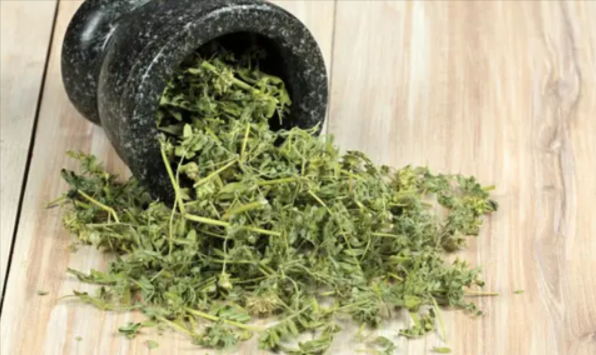 Epimedium & Tribulus Terrestris